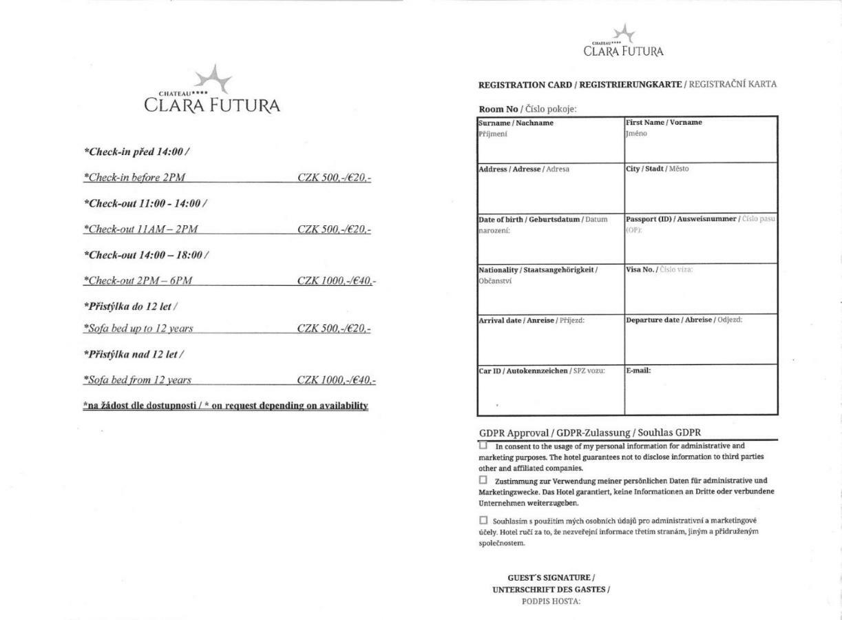 Chateau Clara Futura Dolni Brezany ภายนอก รูปภาพ